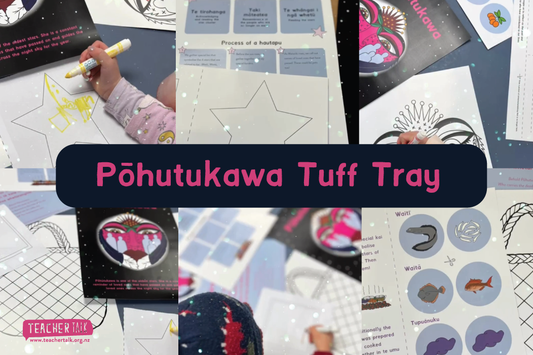 Pōhutukawa Activity tray prompts
