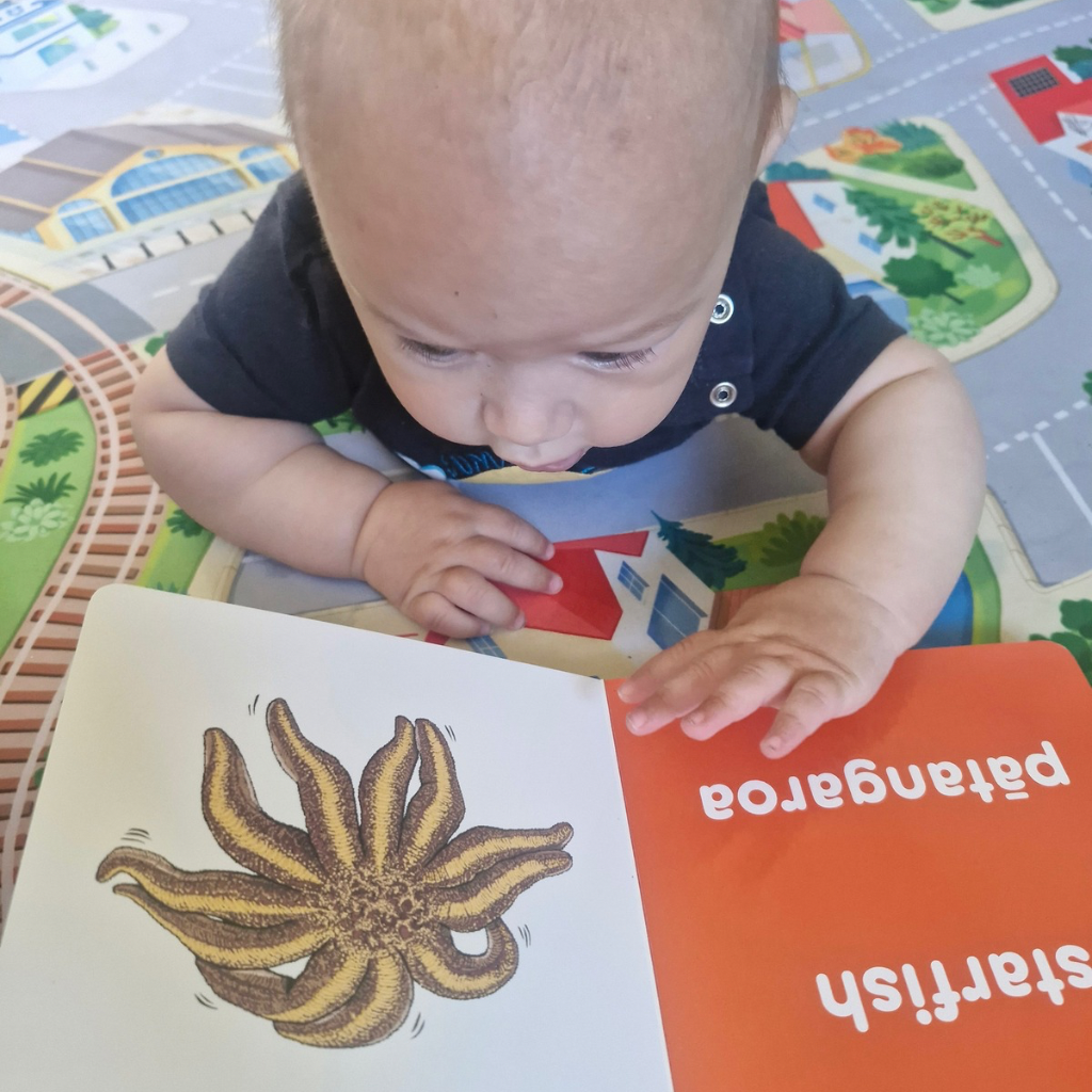 Ocean for Kiwi Babies