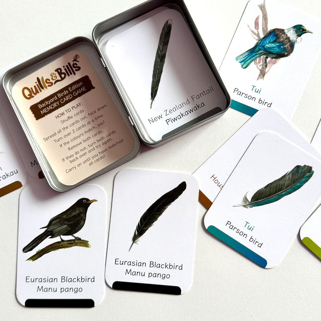 Bird-themed memory game with cards and tin