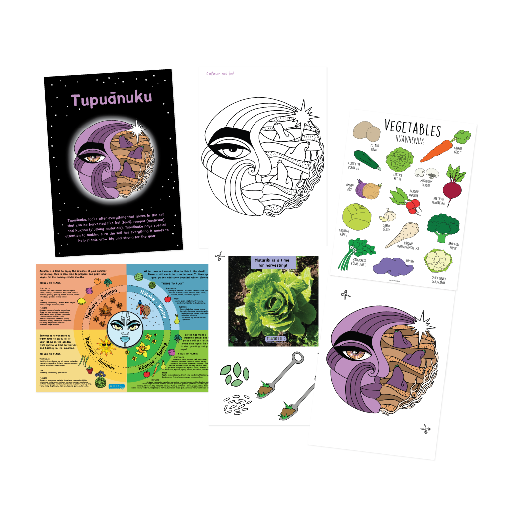 Tupuānuku Activity tray prompts - download