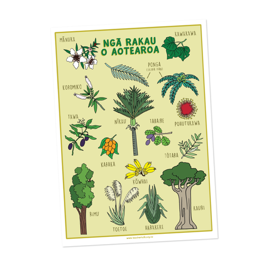 Rākau O Aotearoa Poster - A3