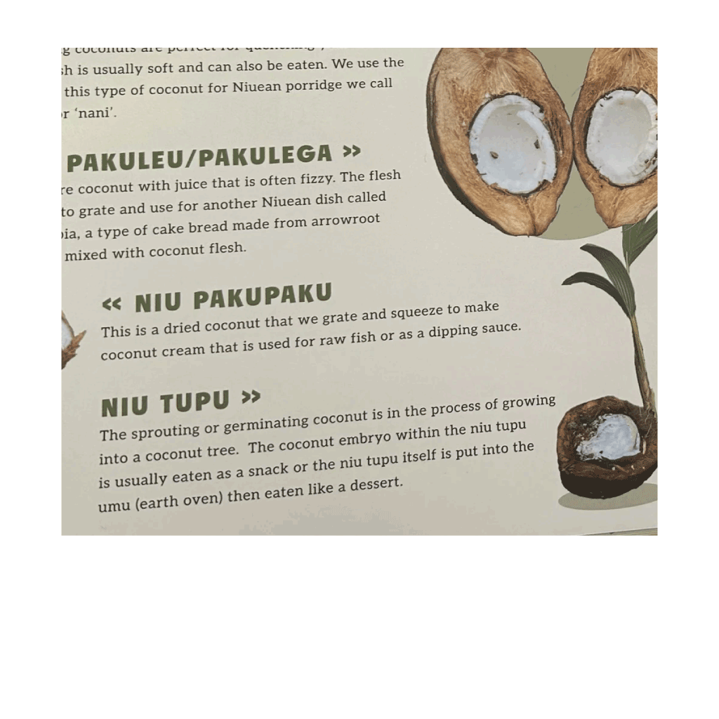 Hunt for Niu Tupu