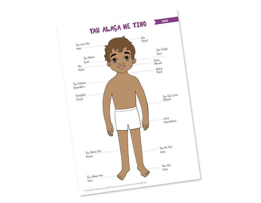 Body Parts in Niuean Poster - A3