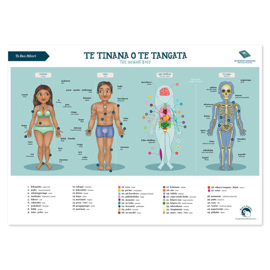 Te Tinana o te Tangata (The Human Body)