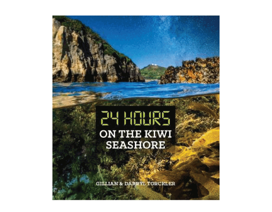 24 Hours On The Kiwi Seashore