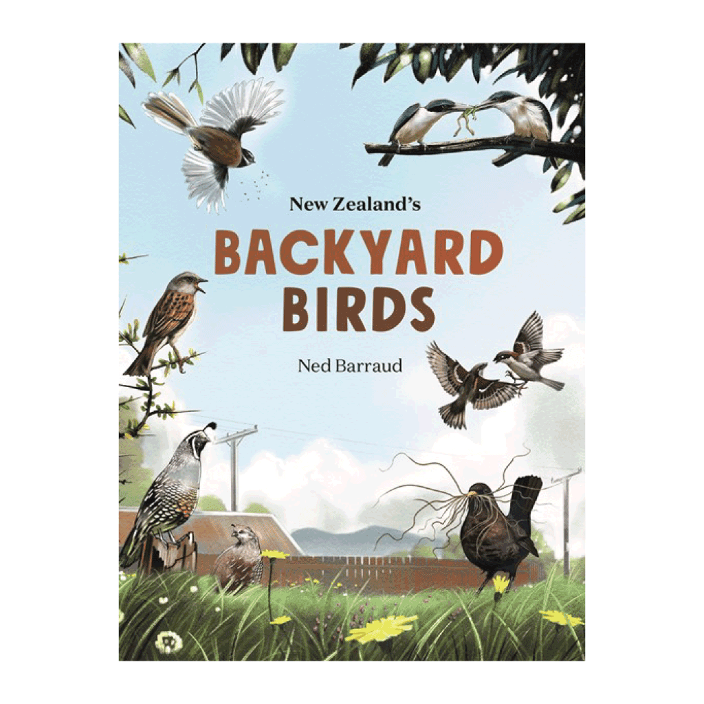 New Zealand's Backyard Birds