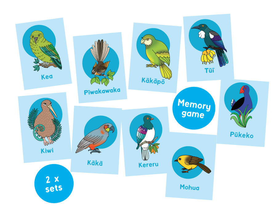 Native Birds of Aotearoa Memory Game