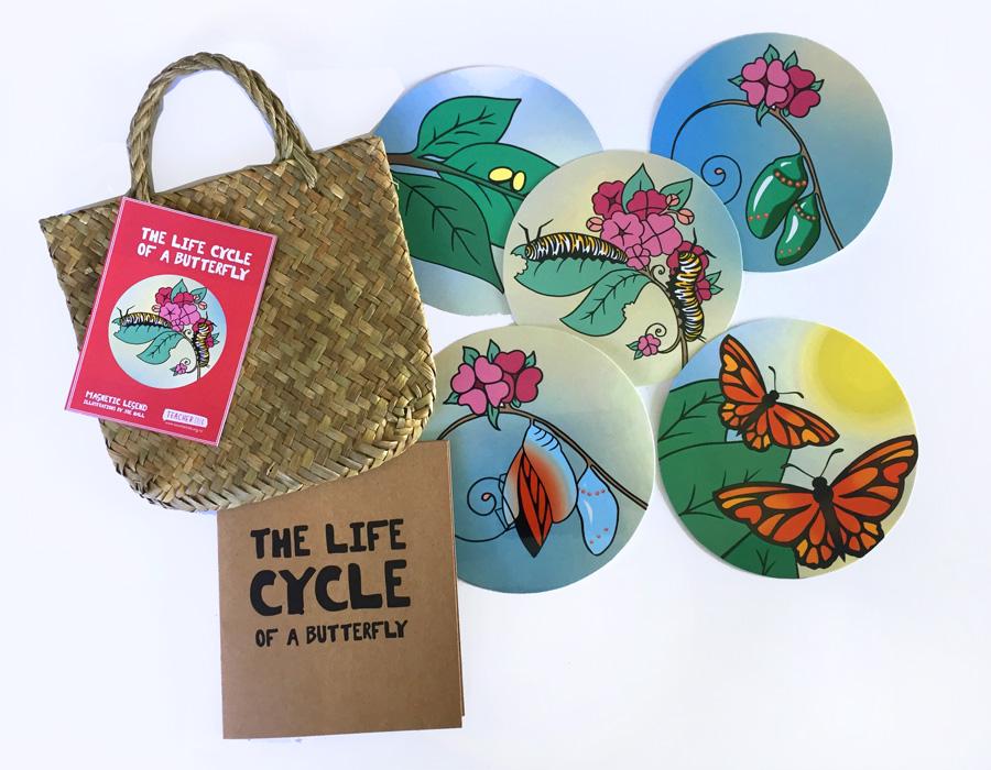 The Life Cycle of a Butterfly - Magnetic Story