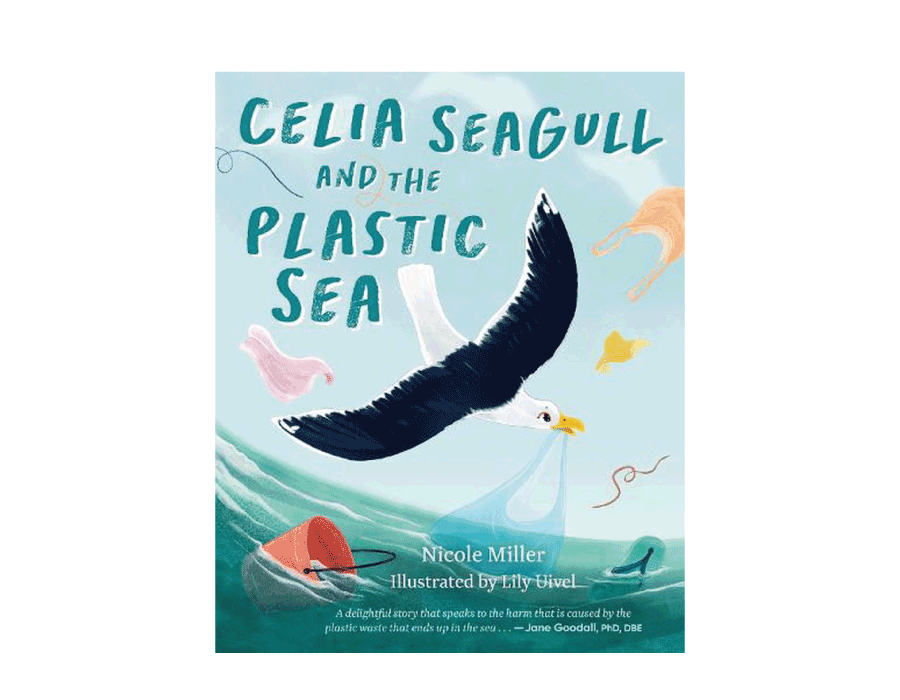 Celia Seagull and the Plastic Sea