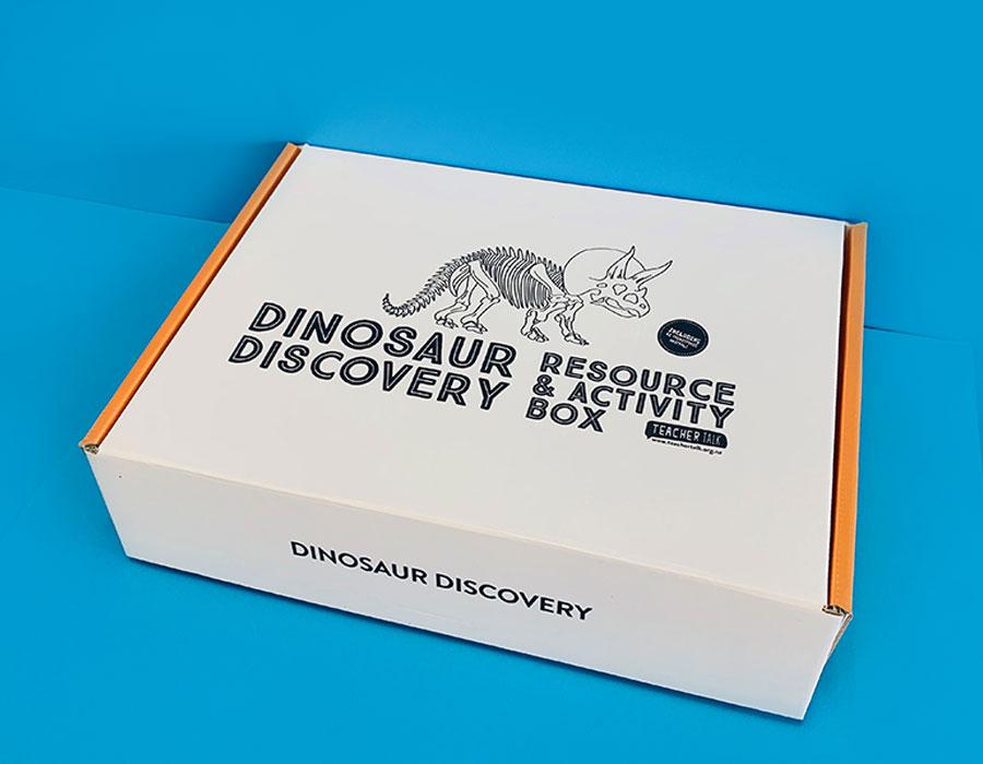 Dinosaur Discovery Activity Box