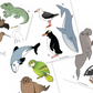 NZ Endangered Species Wildlife A3 Poster + Animal Wall Display
