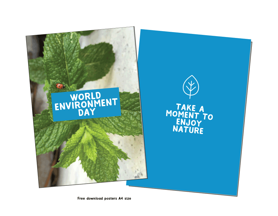 Environment Day Posters - download