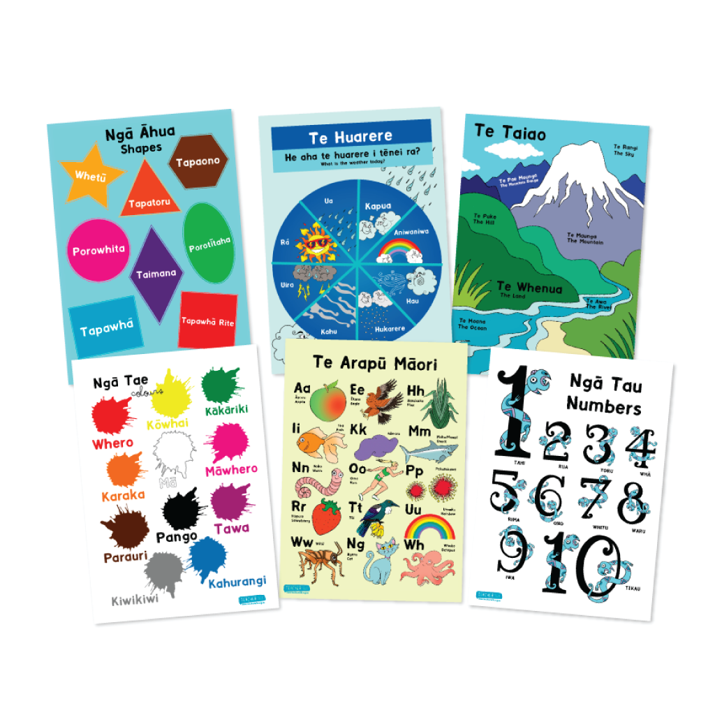 Te Reo Māori Learn The Basics Wall Display Pack