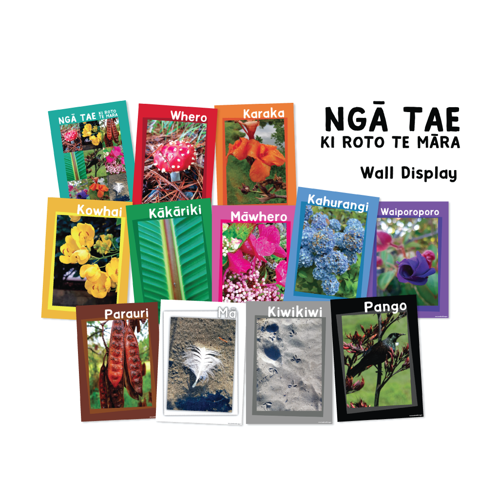 Ngā Tae Ki Roto Te Māra - A4 Colours Wall Display - Download