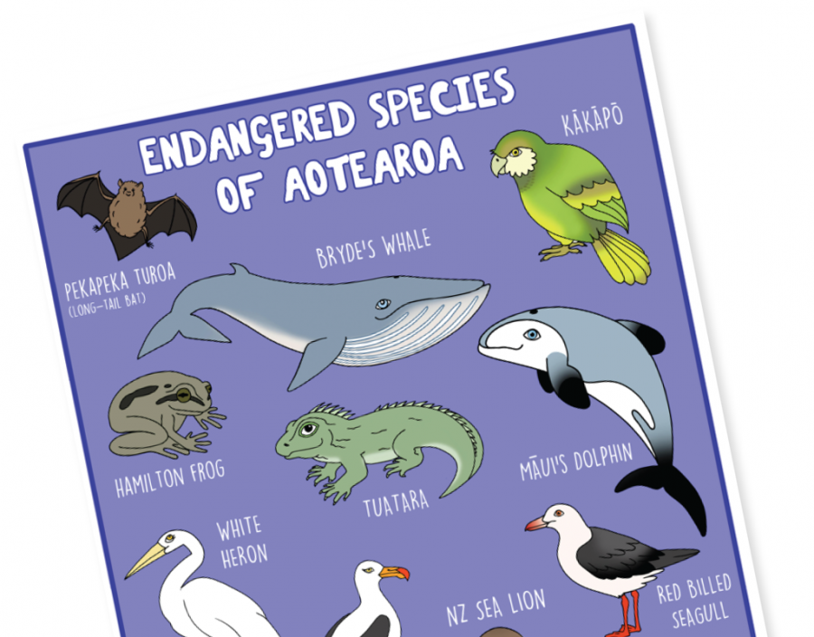 NZ Endangered Species Wildlife A3 Poster