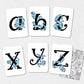 Taniwha Alphabet Flash Cards - Lower Case