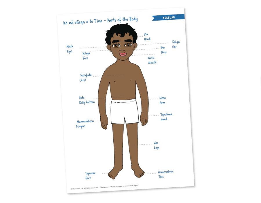 Body Parts in Tokelauan - A3 Poster