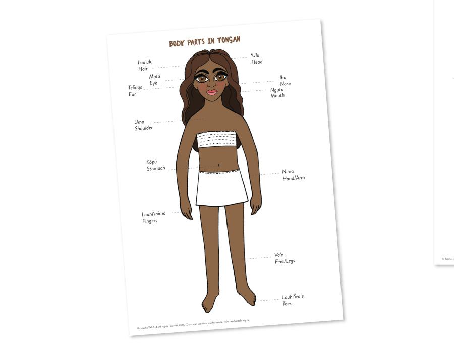 Body Parts in Tongan - A3 Poster