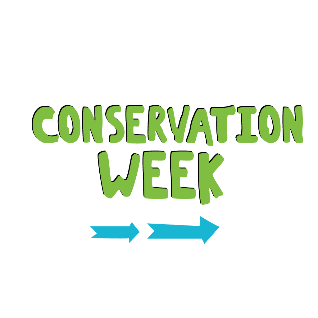Conservation Week ECE Resources & Activities NZ | TeacherTalk