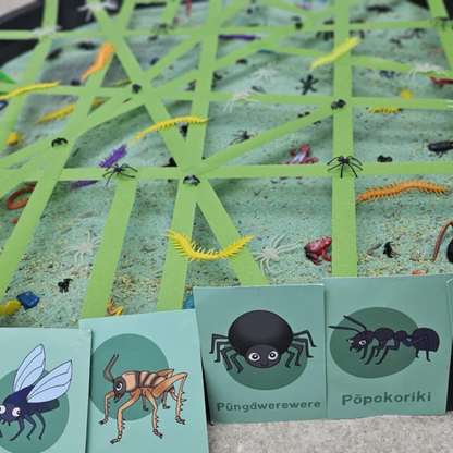 Insects of Aotearoa Memory Game
