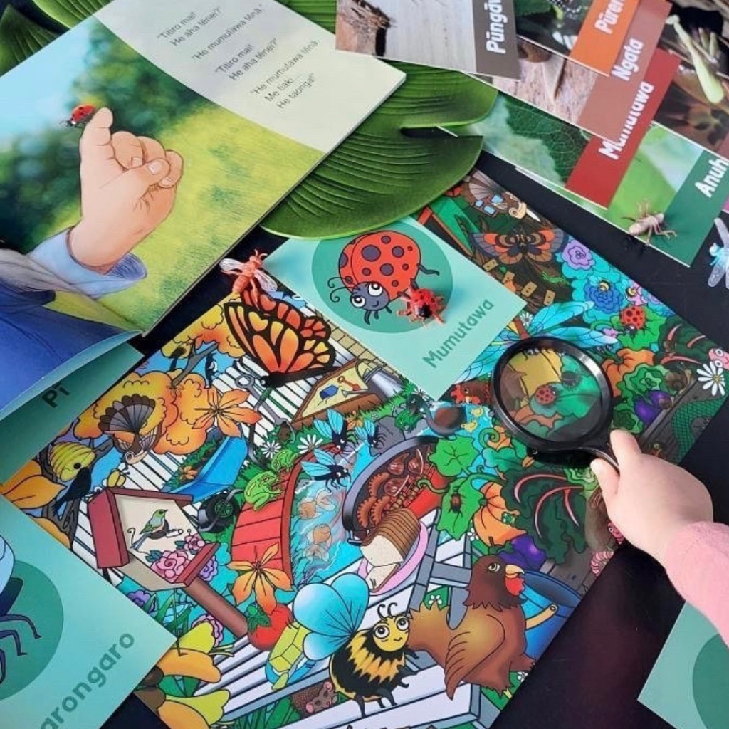 Waitangi Day Resource - Download – TeacherTalk
