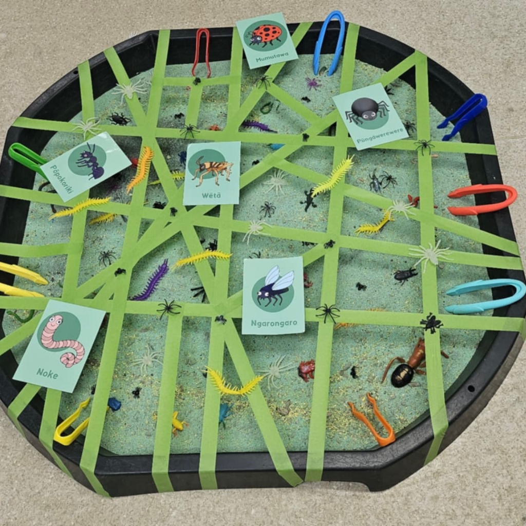Insects of Aotearoa Memory Game