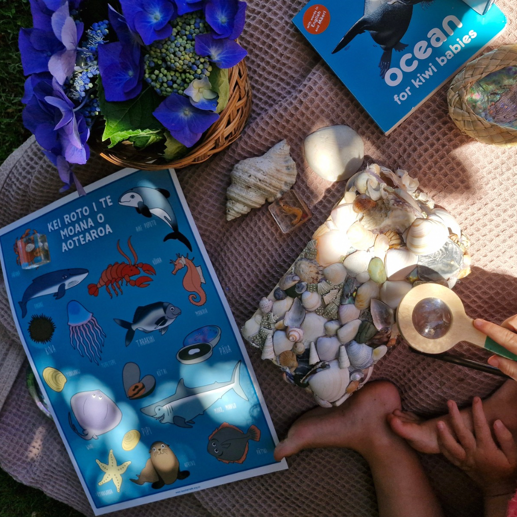 Ocean for Kiwi Babies