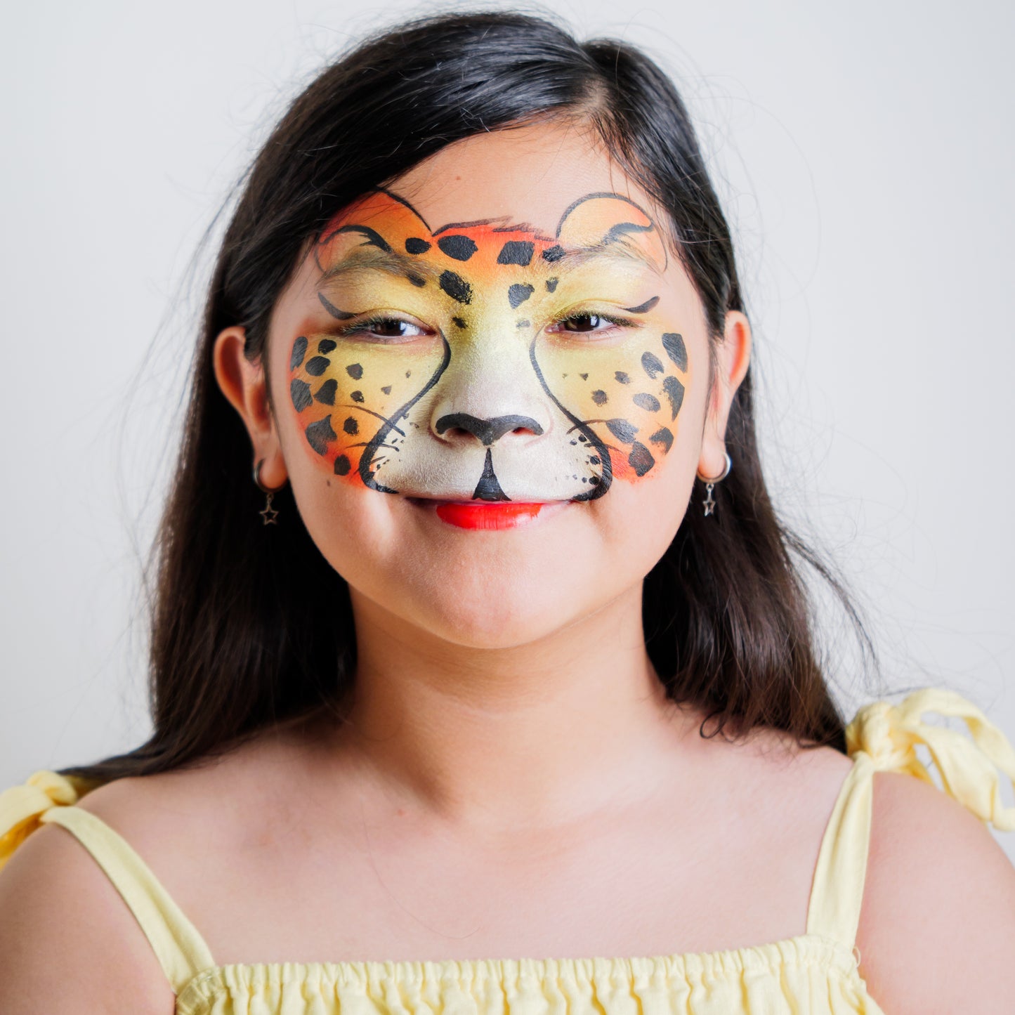The Animal Kingdom Face Paint Kit