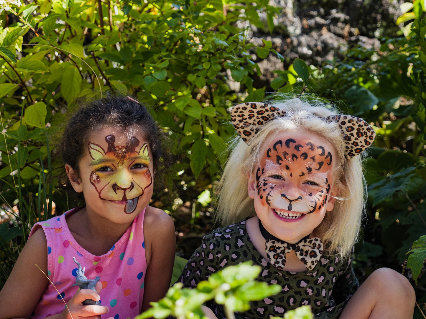 The Animal Kingdom Face Paint Kit