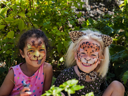 The Animal Kingdom Face Paint Kit
