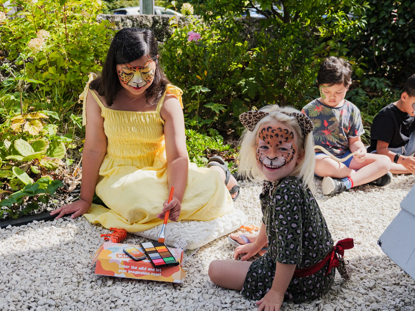 The Animal Kingdom Face Paint Kit
