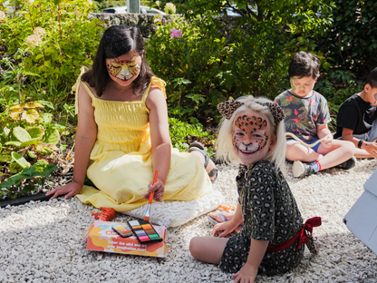 The Animal Kingdom Face Paint Kit