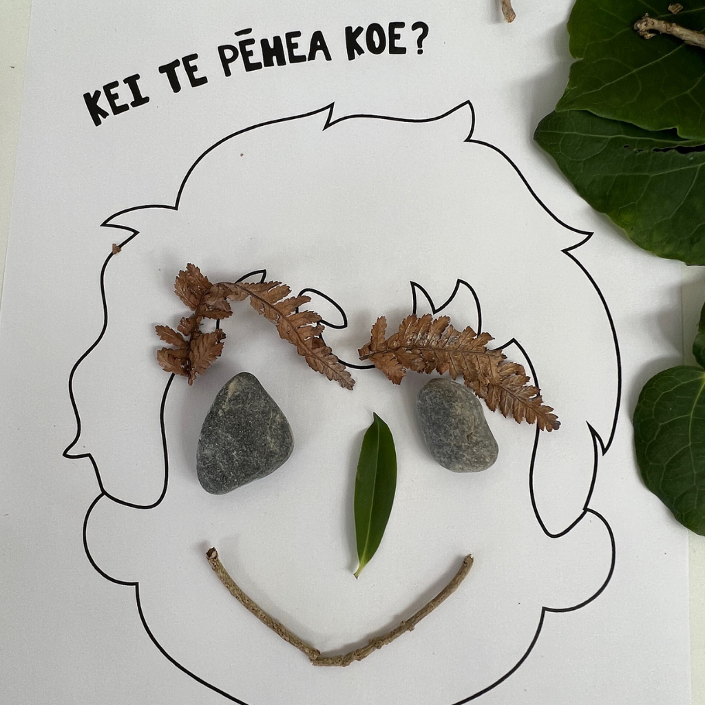 Te Wiki o te Reo Māori Resource - Download Kit