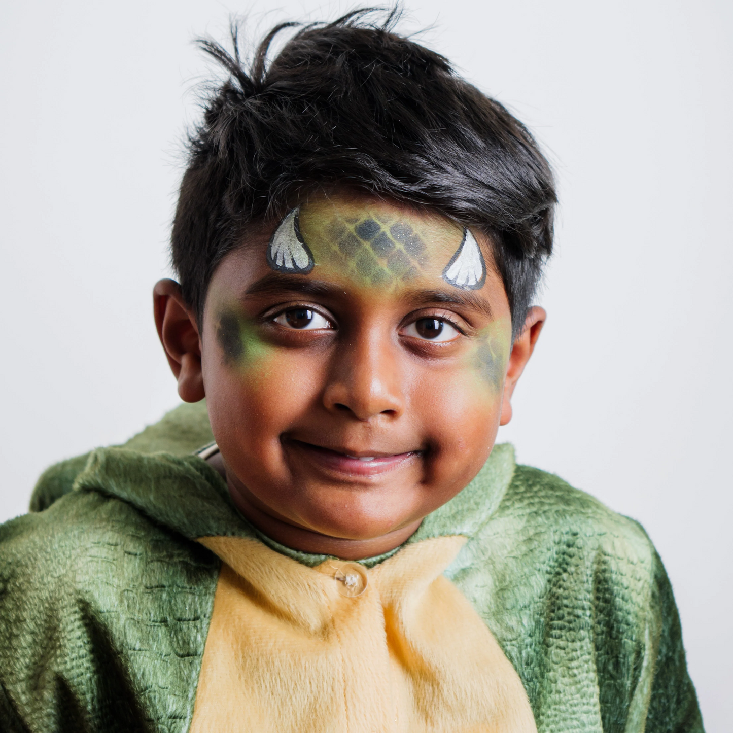 The Dinosaur and Dragon Face Paint Kit