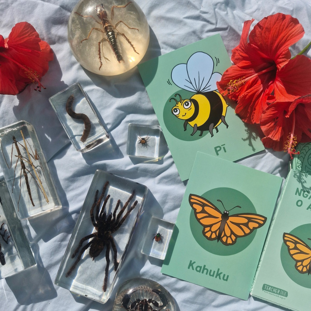 Insects of Aotearoa Memory Game