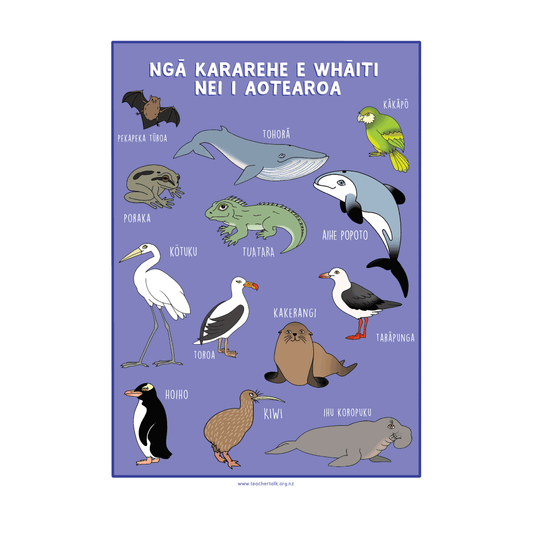 NZ Endangered Species Wildlife A3 Poster - te reo Māori