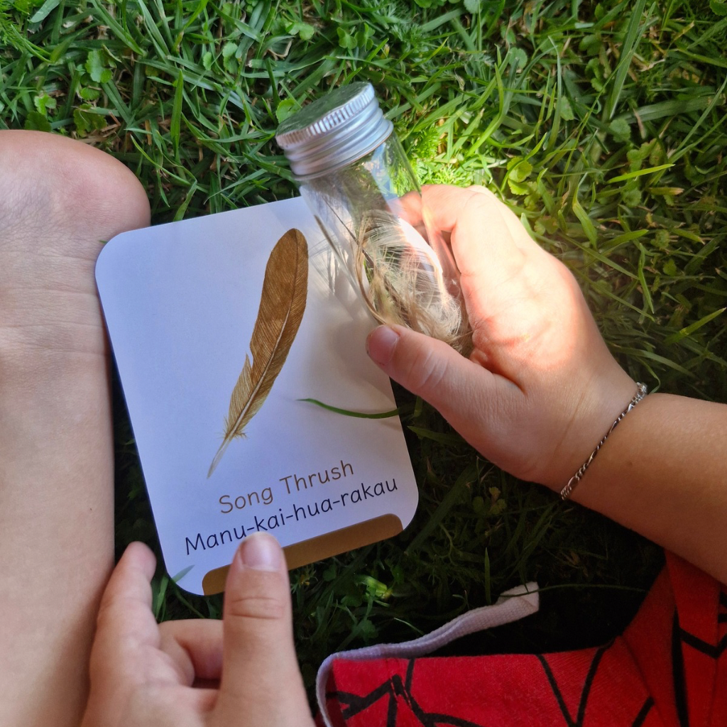 Quills & Bills Backyard Birds Edition