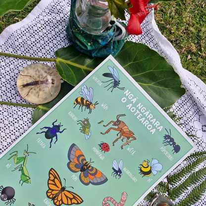 Bugs of Aotearoa A3 Poster