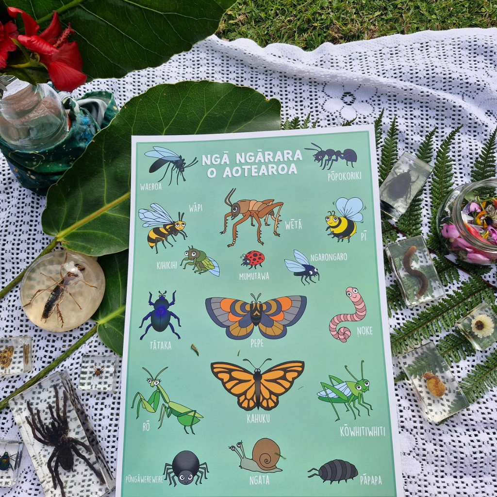 Bugs of Aotearoa A3 Poster - Download