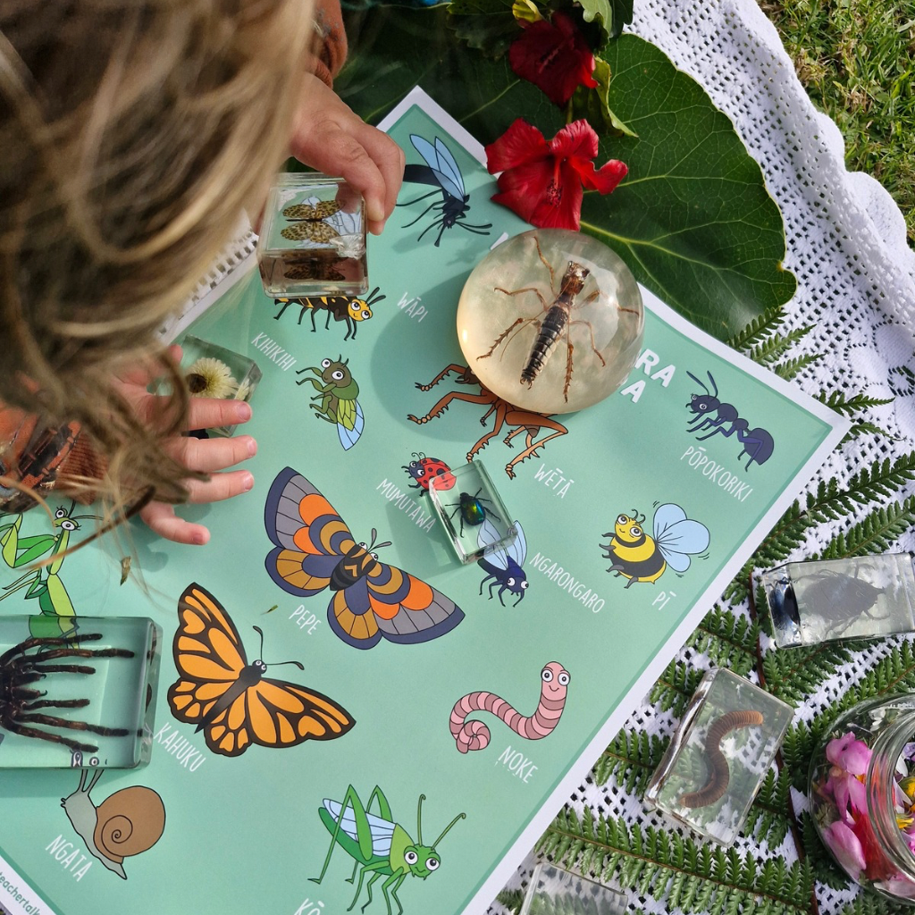 Bugs of Aotearoa A3 Poster - Download