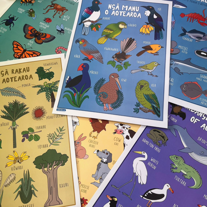 6 Pack poster special