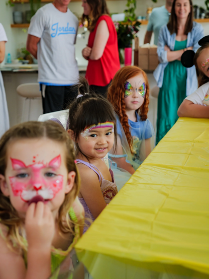 The Imagination Face Paint Kit
