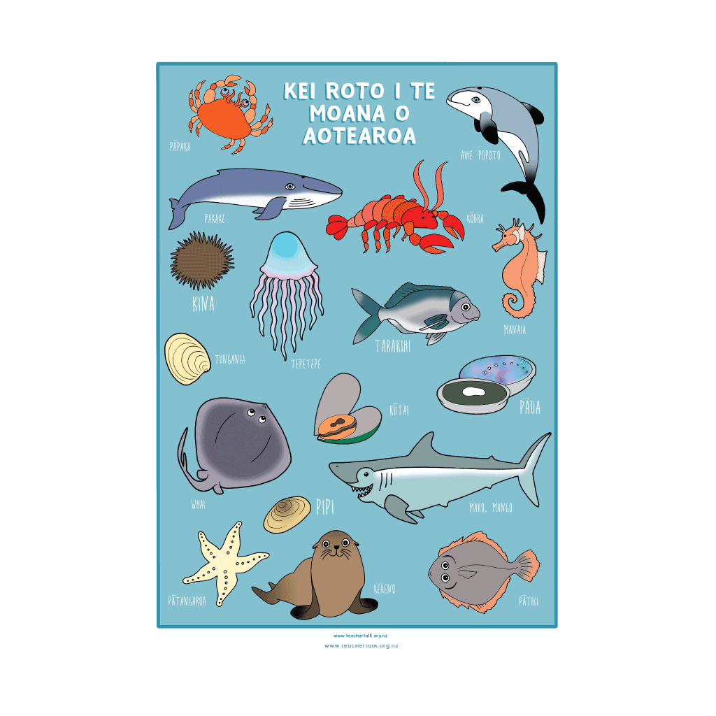 Sea Life of Aotearoa A3 Poster