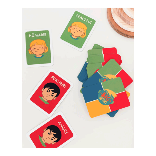 My Feelings Cards- Bilingual