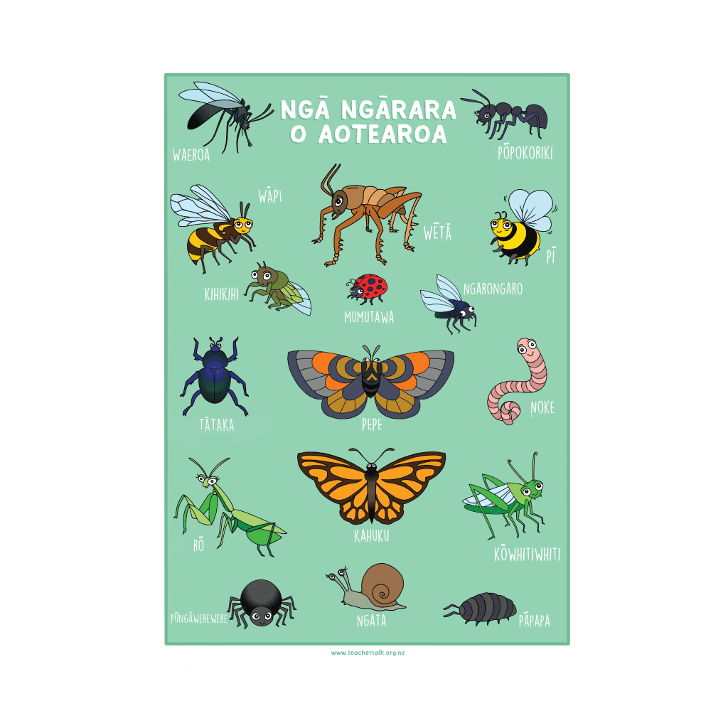 Bugs of Aotearoa A3 Poster - Download