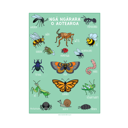 Bugs of Aotearoa A3 Poster - Download