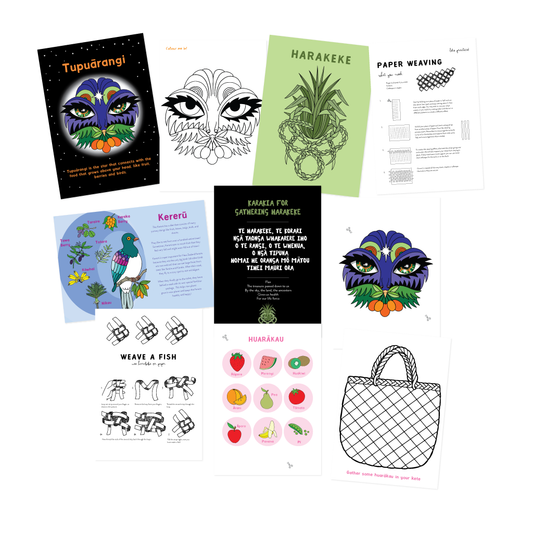 Tupuārangi Activity tray prompts - download