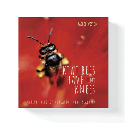 Kiwi Bees have Tiny Knees