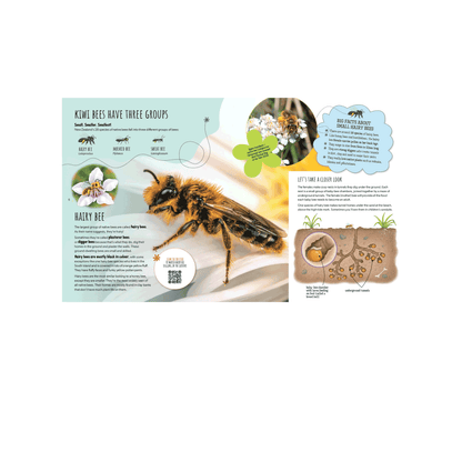 Kiwi Bees have Tiny Knees