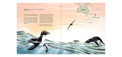 Incredible Journeys- New Zealand wildlife on the move